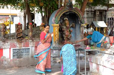 Meenakshi Temple, Madurai,_DSC_8073_H600